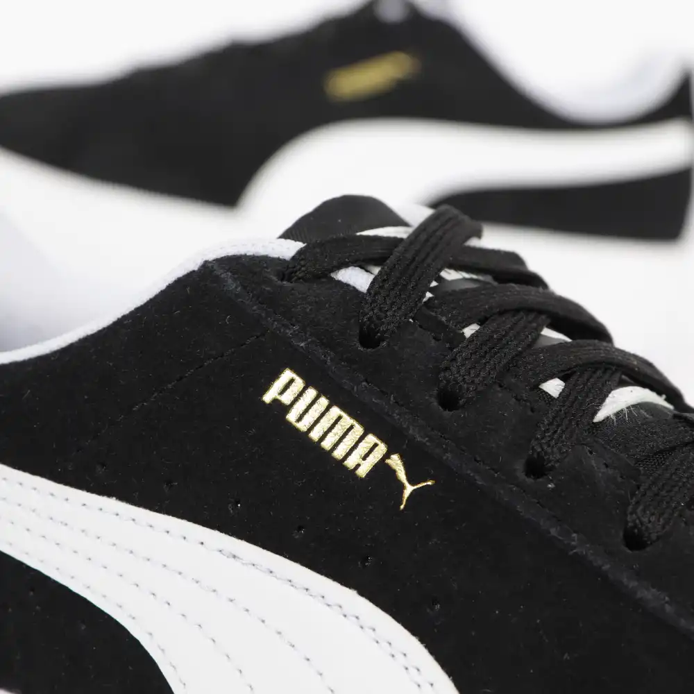 PARTNER: CREATION ref 380686-02